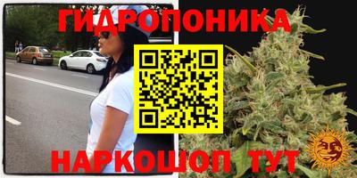 MDMA Новодвинск
