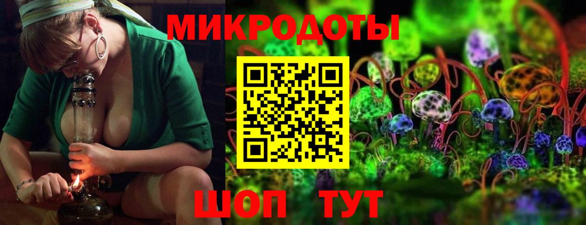Псилоцибиновые грибы Cubensis Ачинск