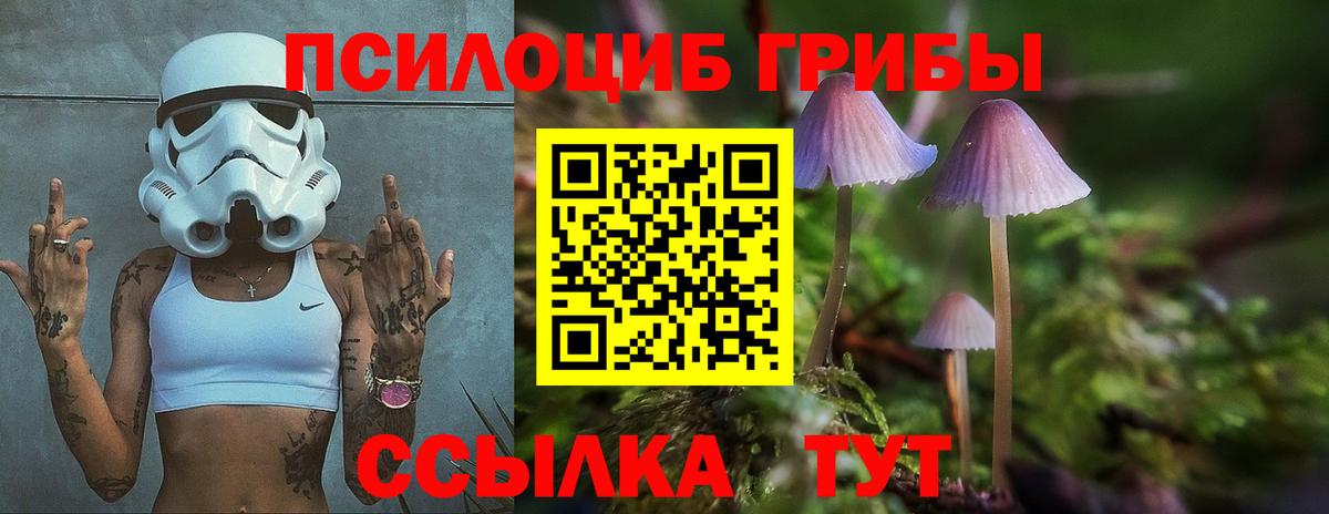 Ачинск  Псилоцибиновые грибы мицелий  Вход с VPN  Псилоцибиновые грибы Magic Shrooms 