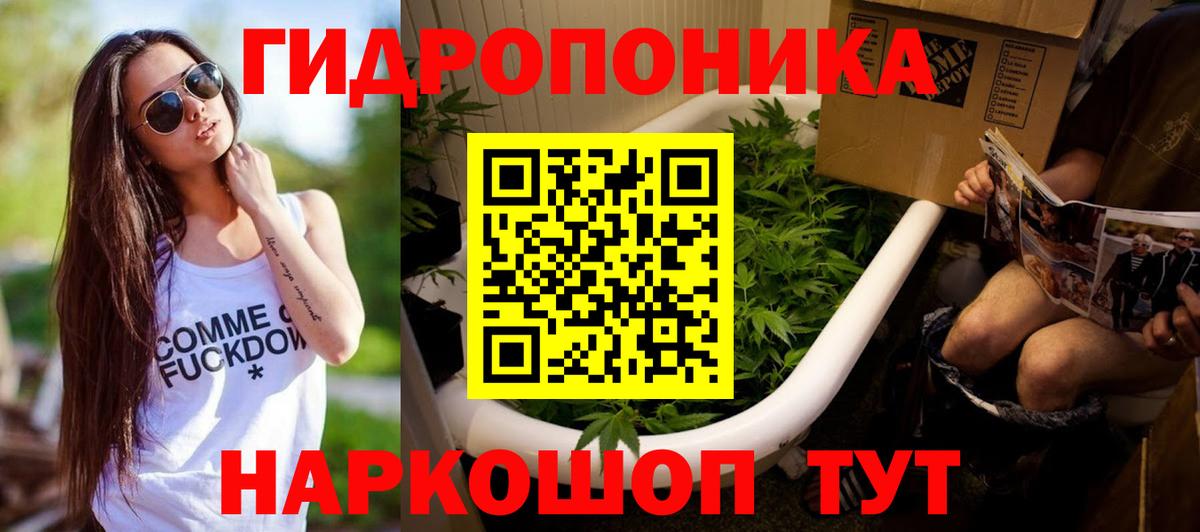 Бошки Шишки Bruce Banner Ачинск